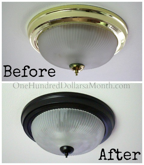 Spray Light Fixture