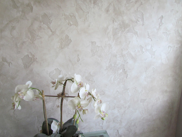 Plaster mobile home wall