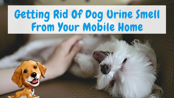 Getting Rid Of Dog Urine Smell From Your Mobile Home