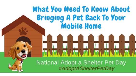 What You Need To Know About Bringing A Pet Back To Your Mobile Home