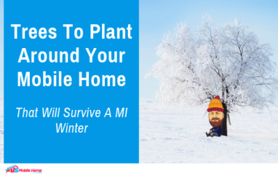 Trees To Plant Around Your Mobile Home That Will Survive A MI Winter